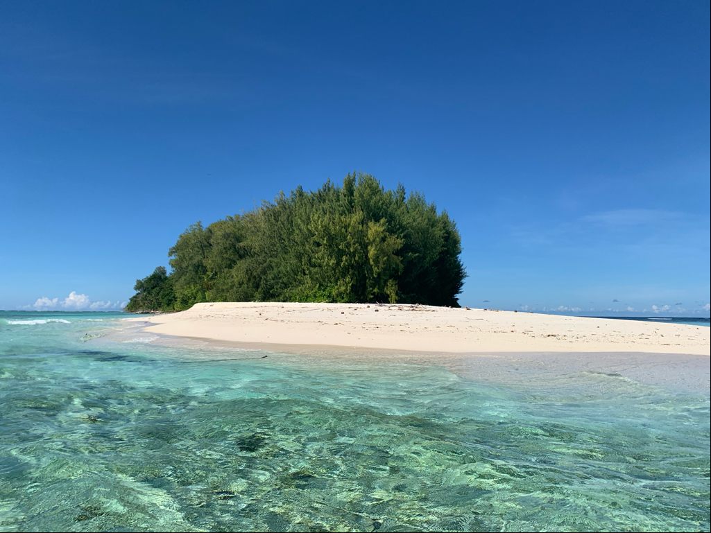 A small tree-covered island with a white sand spit and clear turquoise shallows