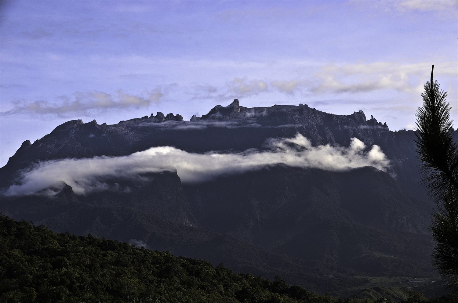 Borneo rainforest