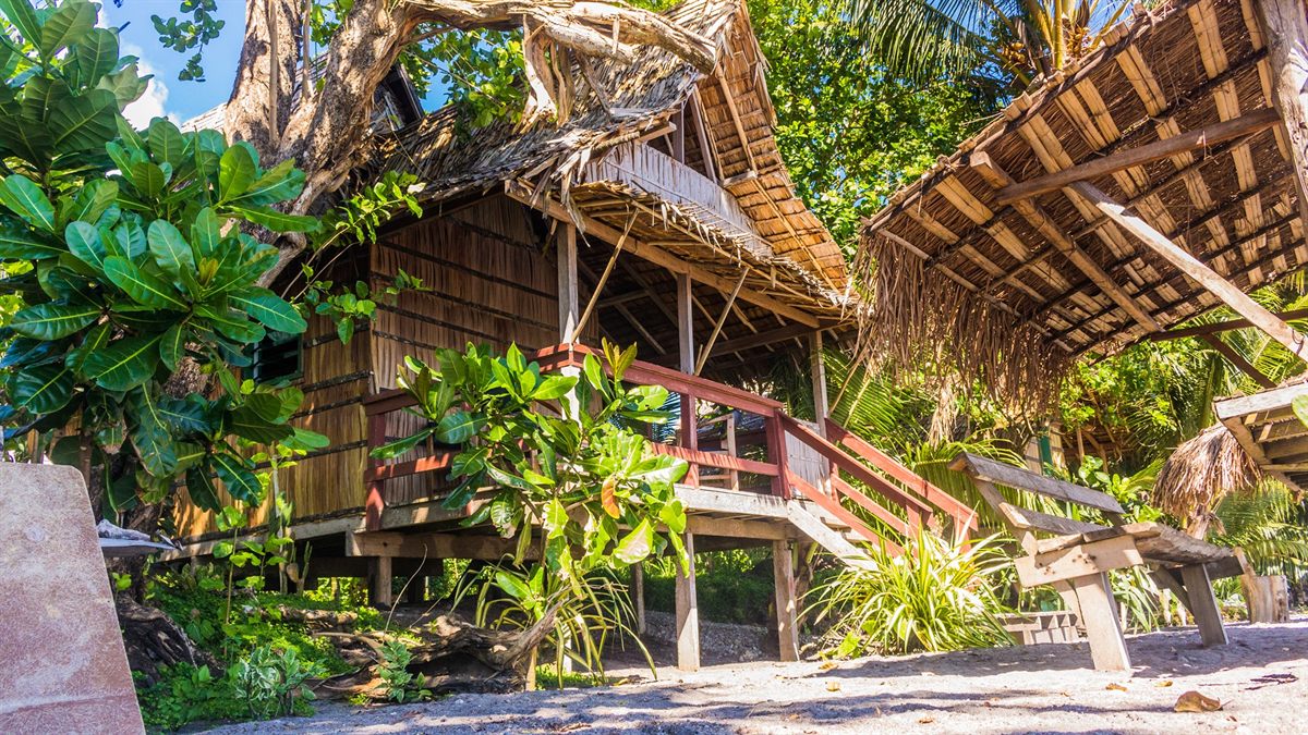 A bungalow among the trees at B-17 Dive and Beach Bungalows