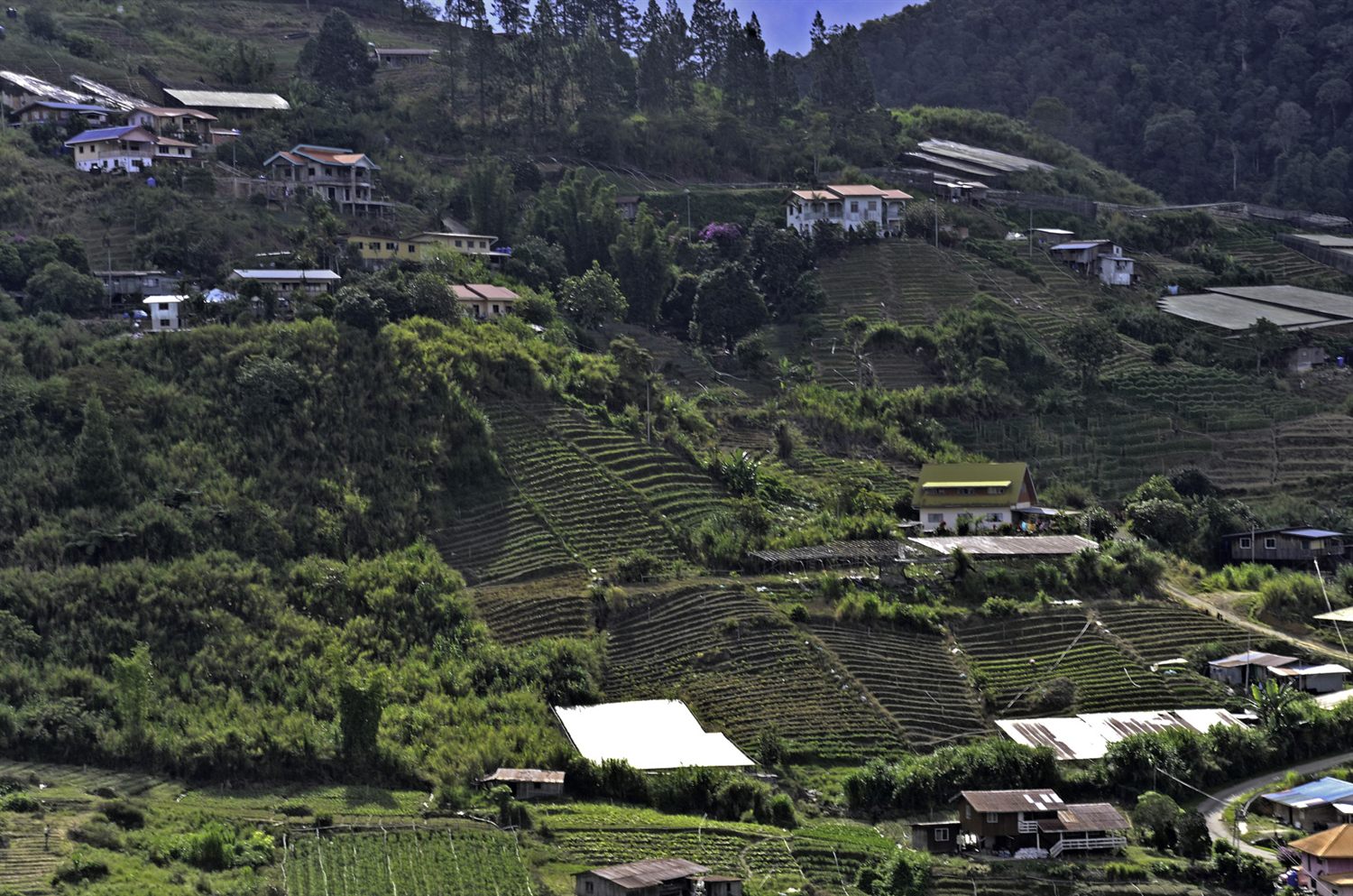 Borneo trip photo