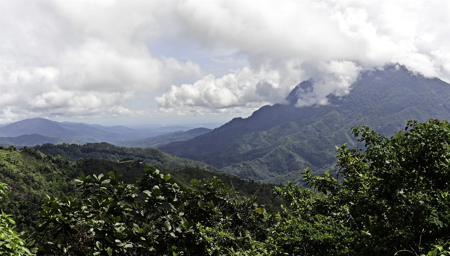Borneo trip photo