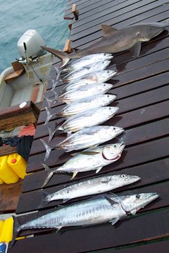 Vavaghio Guest House fishing, Solomon Islands