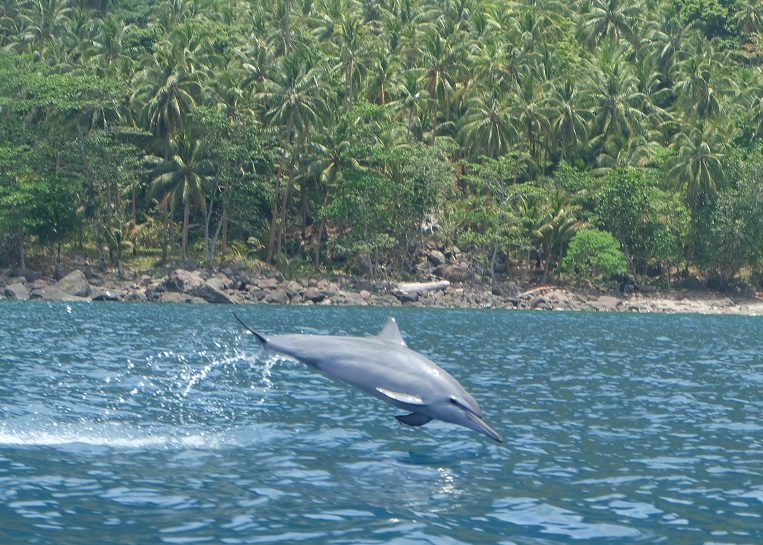 Savo Island Tour