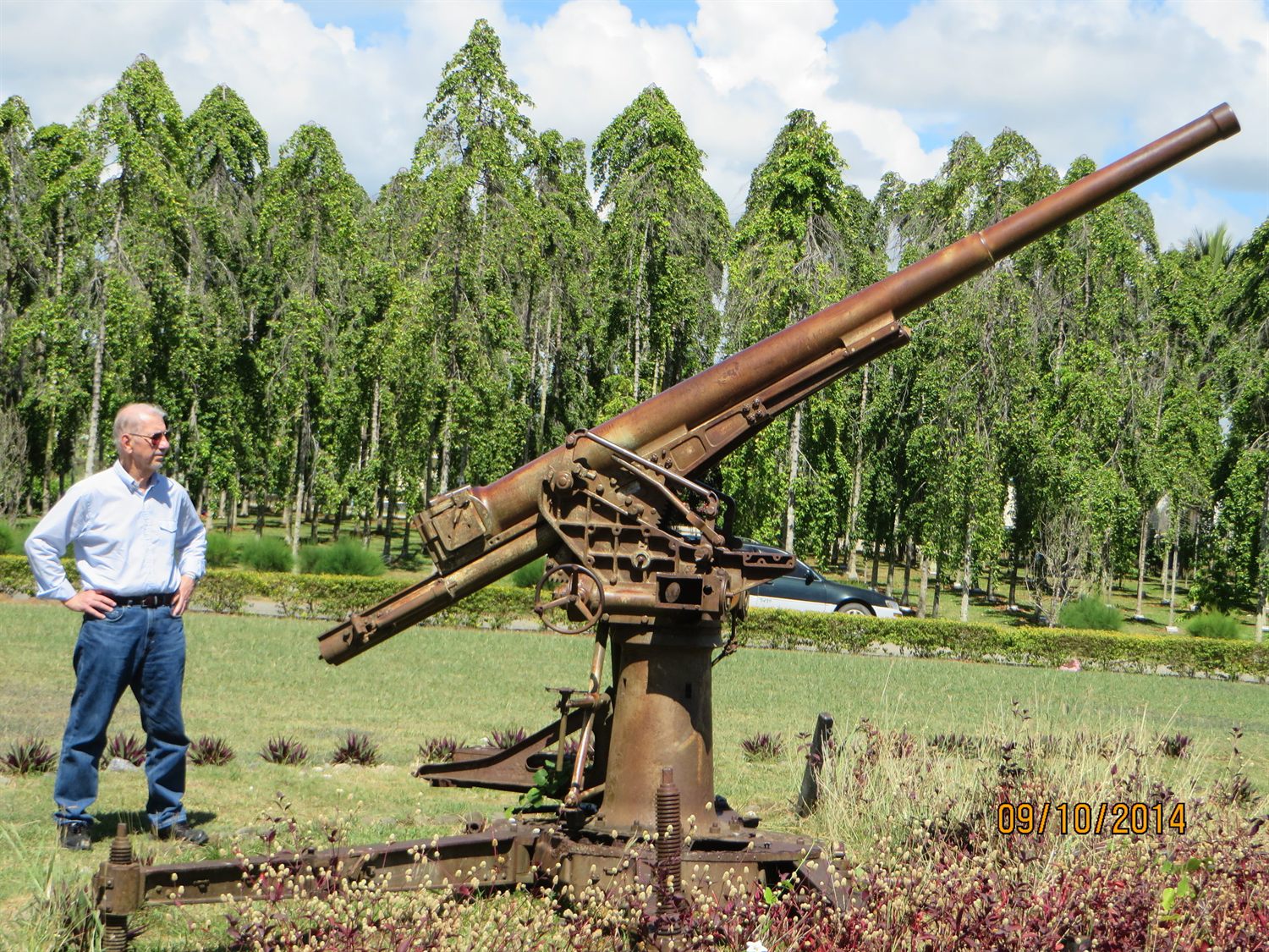 WW2 Historical and City Tour