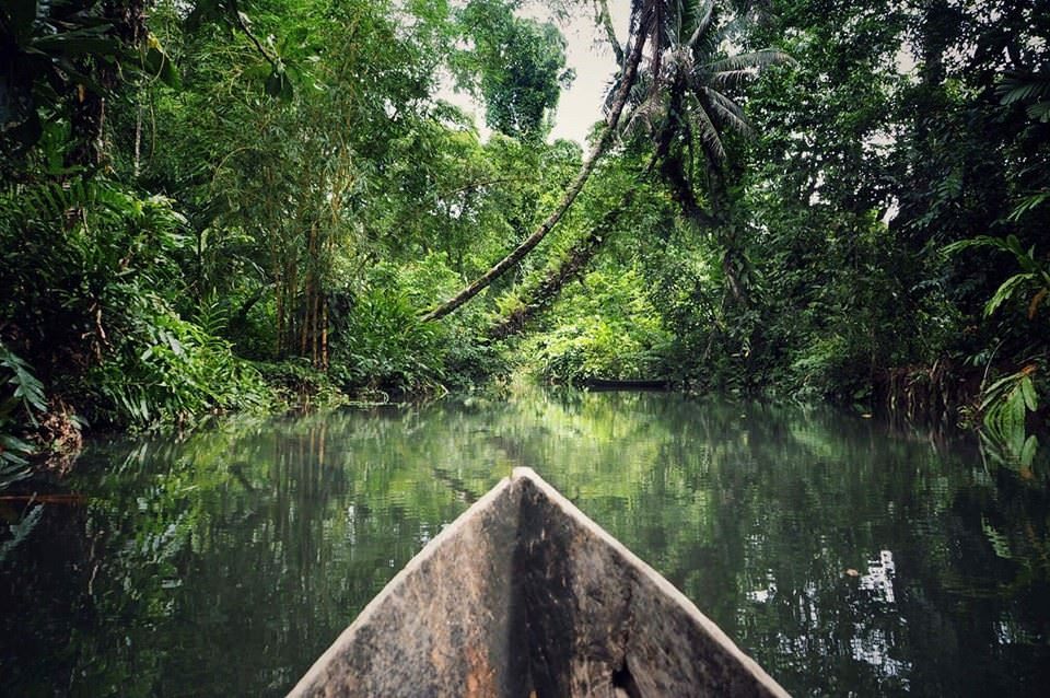 The bow of a dugout canoe on a still river through the rainforest