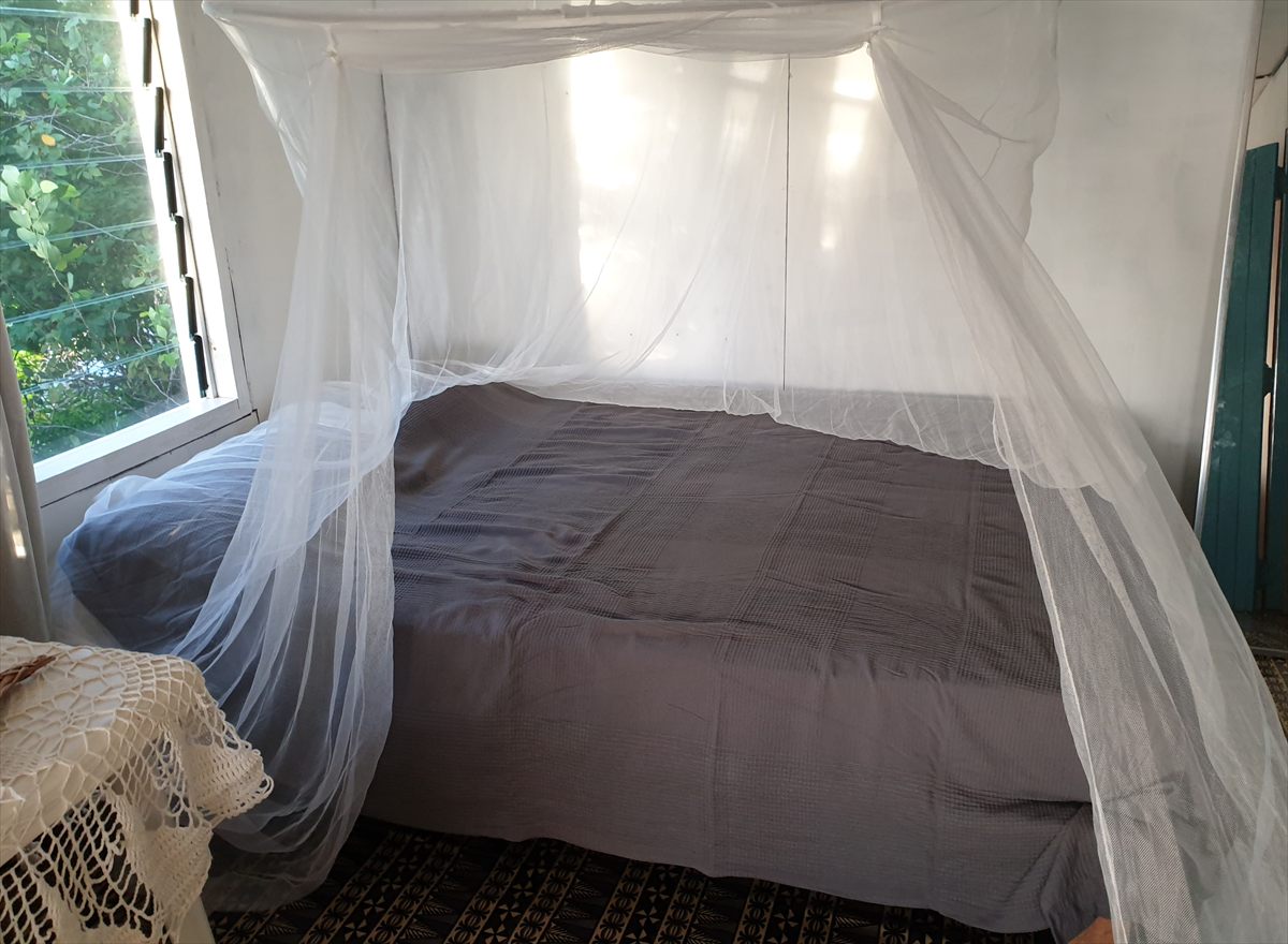 A large bed under a white mosquito net beside a louvred window