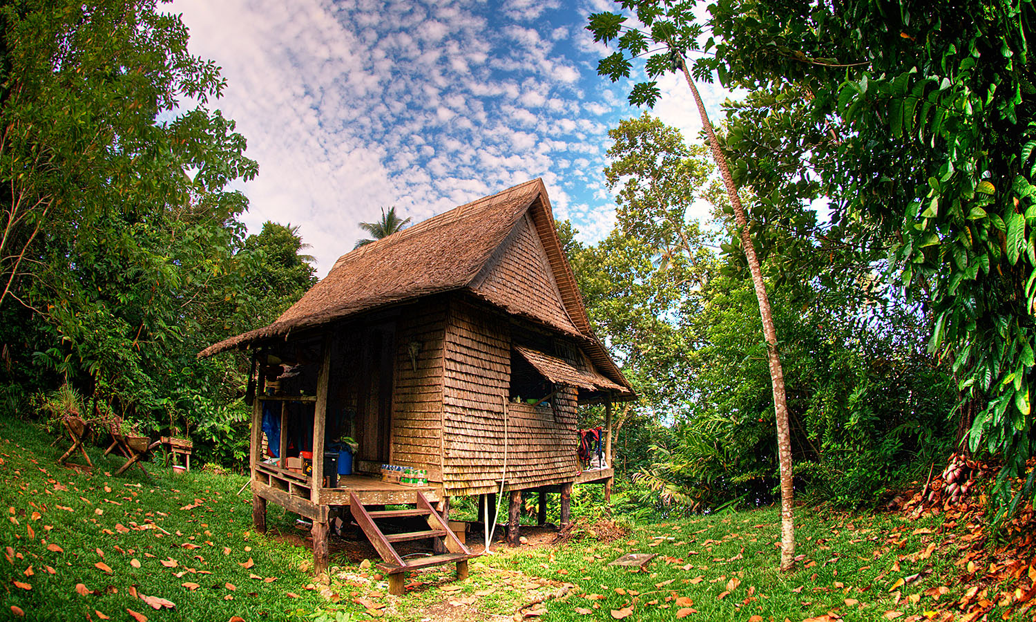 Nature Explorer Experience