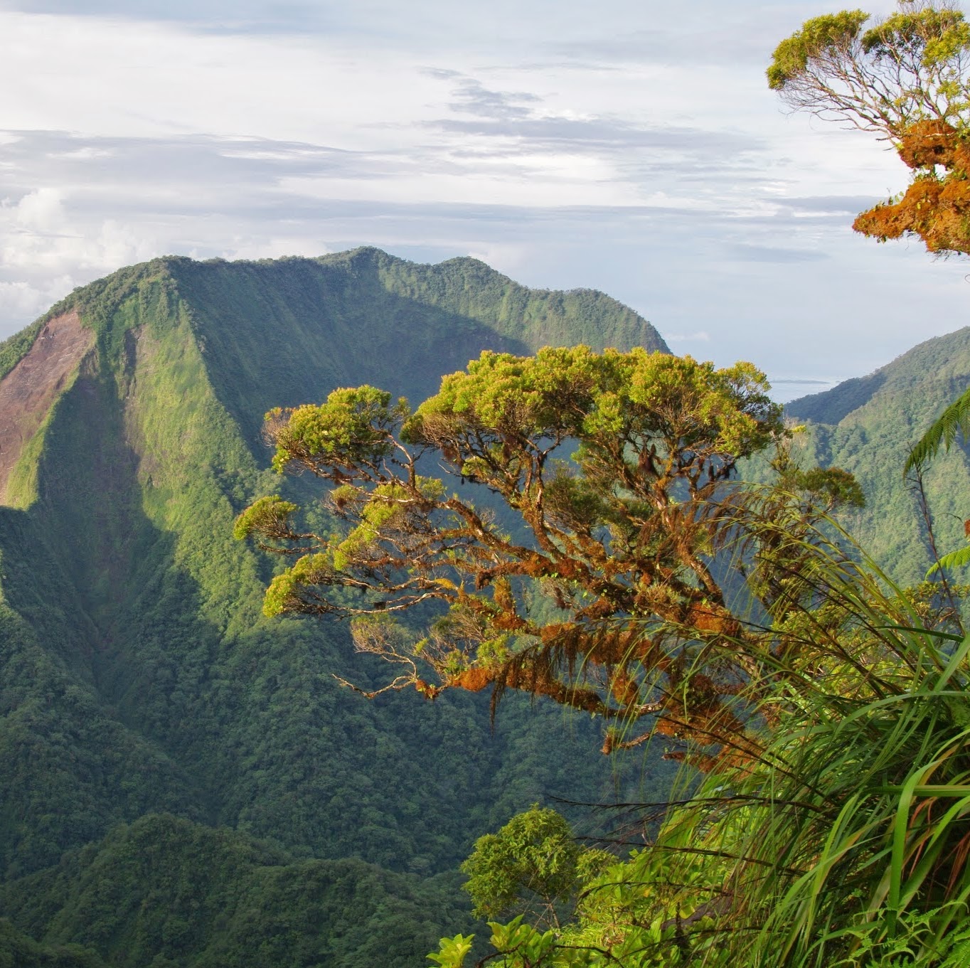 Hike a Land That Time Forgot