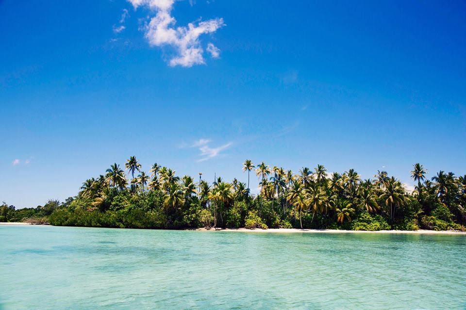 A palm-fringed island beyond clear turquoise shallows