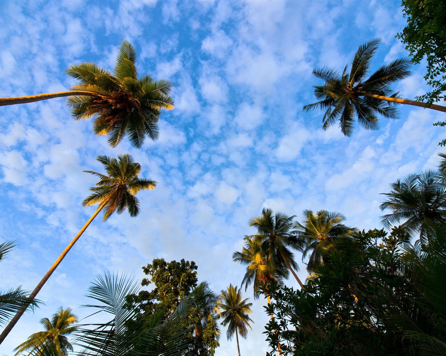 Lissenung Resort, PNG