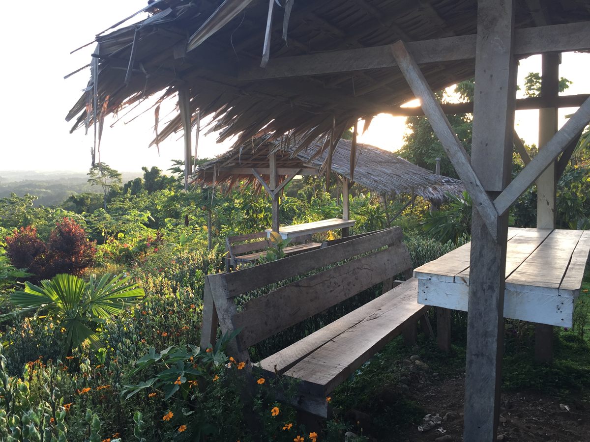 The sitting area looking over the gardens at Parangiju Mountain Lodge