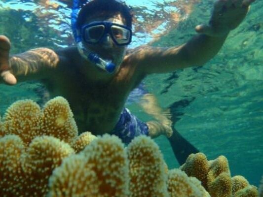 Imagination Island diving, Solomon Islands