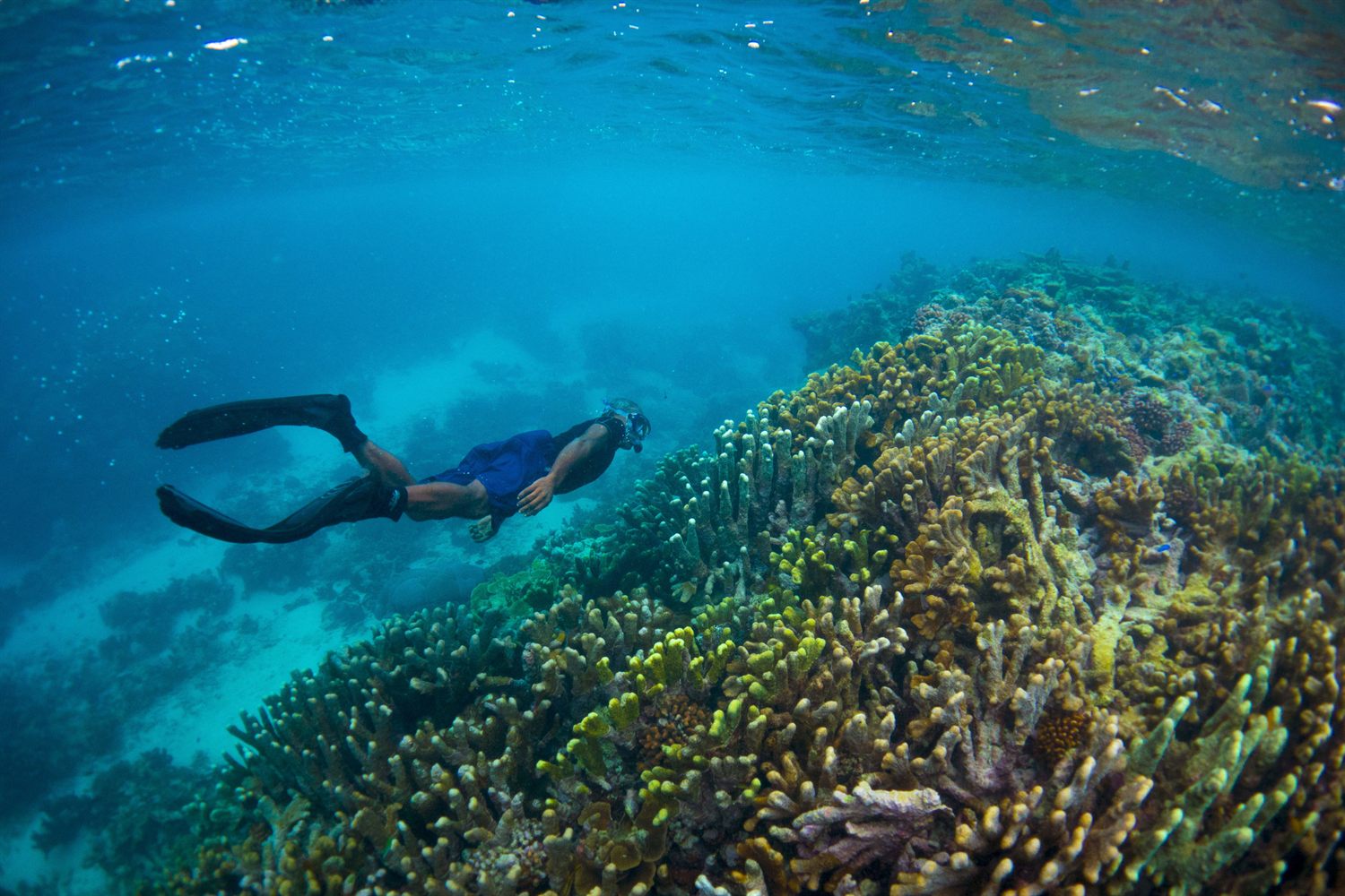 Scuba diving in the Solomon Islands