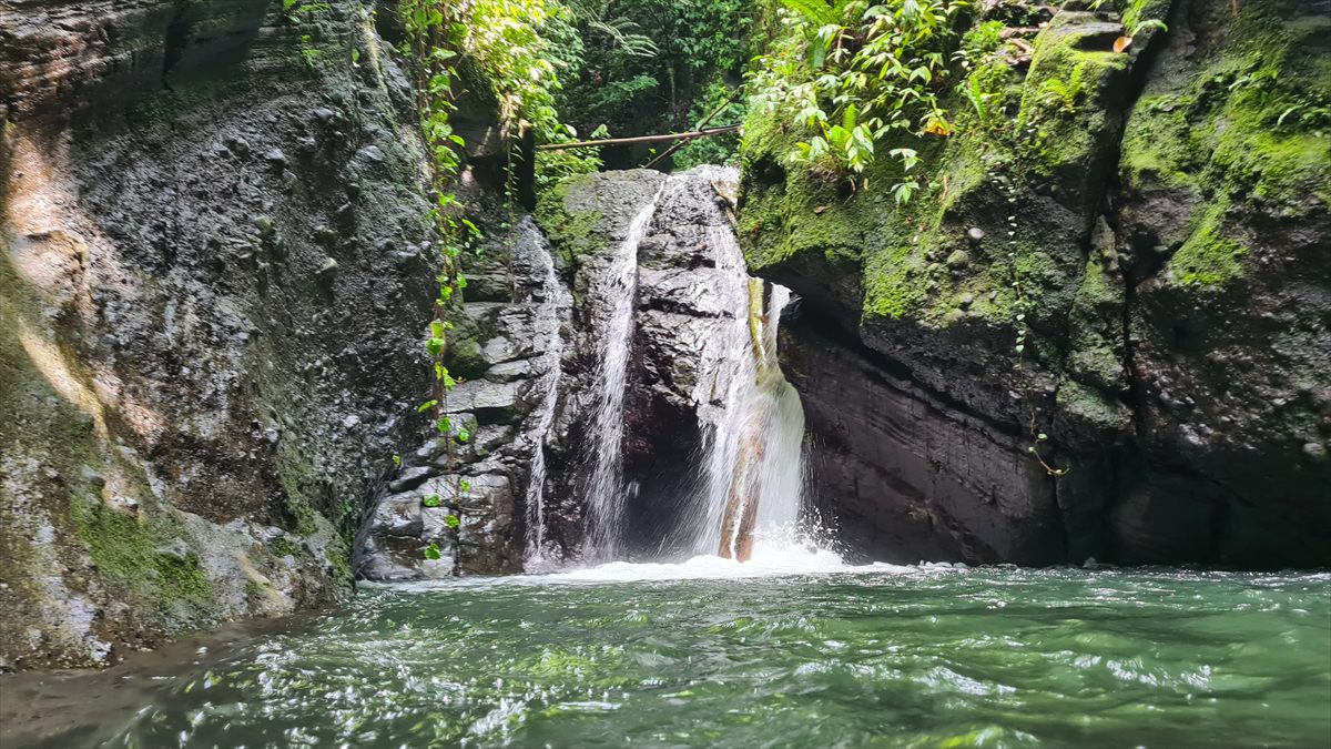 A waterfall pouring into a green rock pool surrounded by mossy cliffs and rainforest