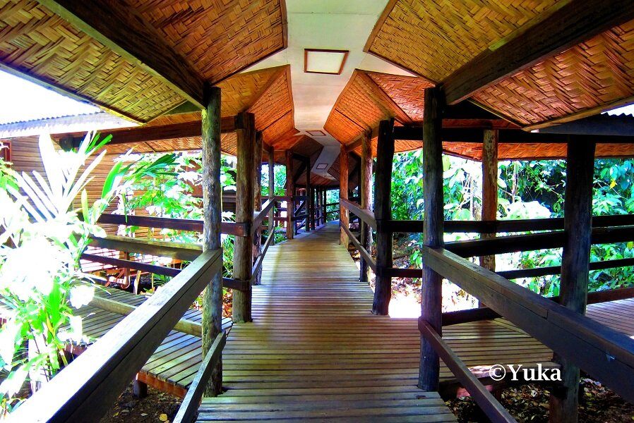 One of Tawali’s covered timber walkways through the tropical garden