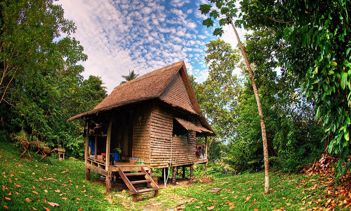 A traditional leaf haus on stilts with a front verandah, set among rainforest trees