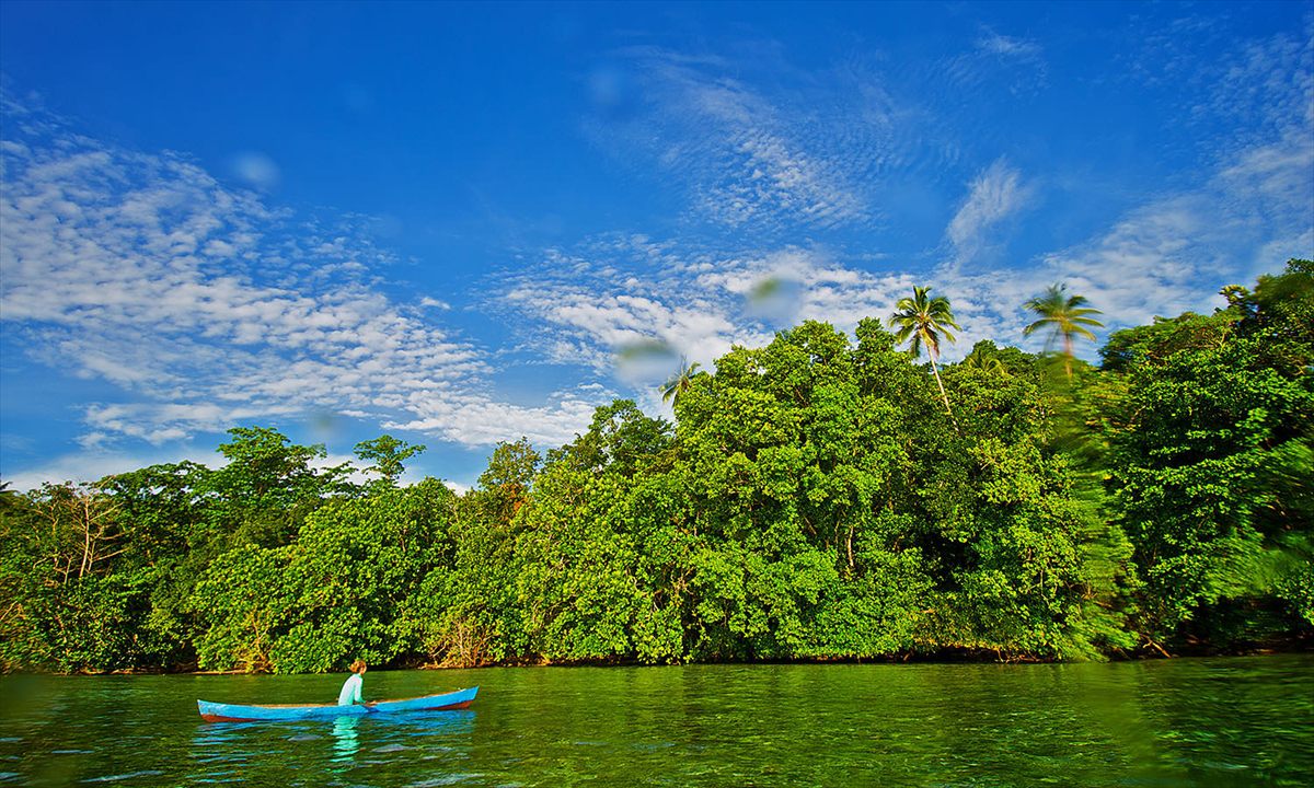 A paddler in a blue canoe on green water beneath a wall of rainforest