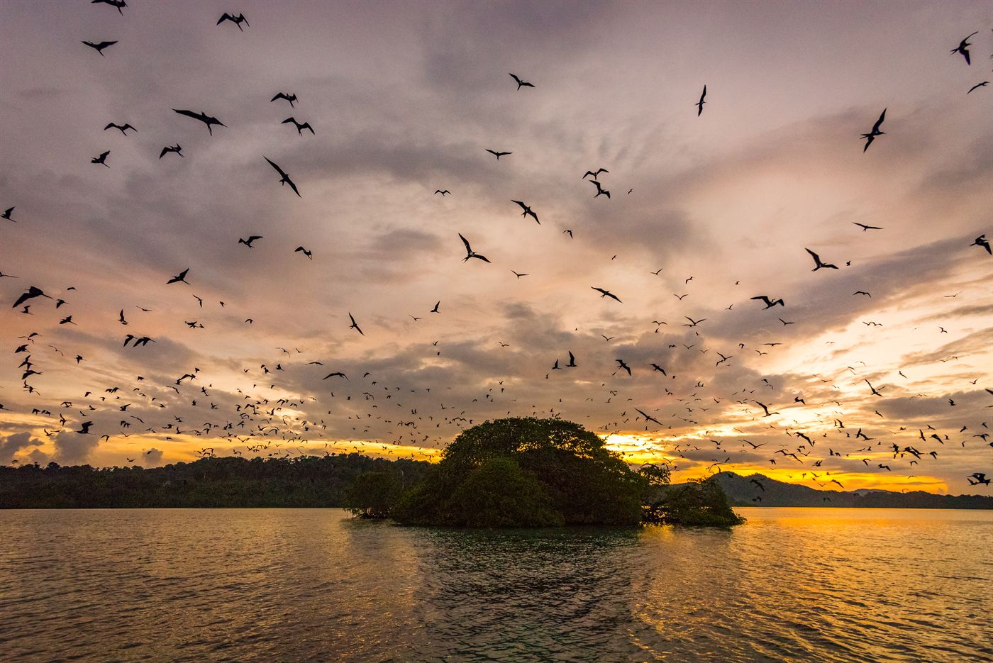 Kagata Village, Solomon Islands (3)
