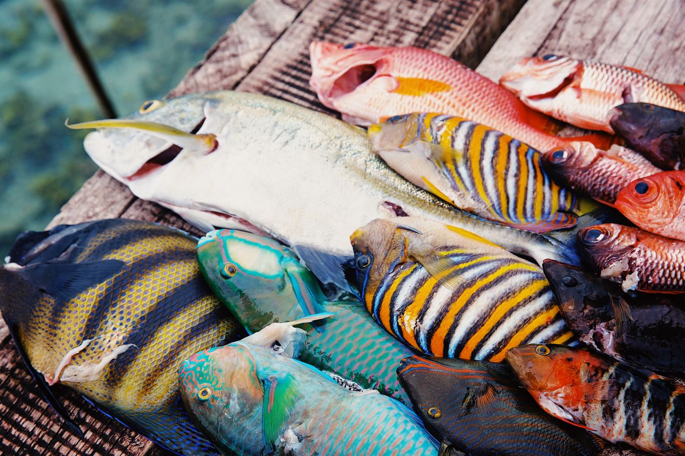 Noguna Island Stay, Solomon Islands (1)