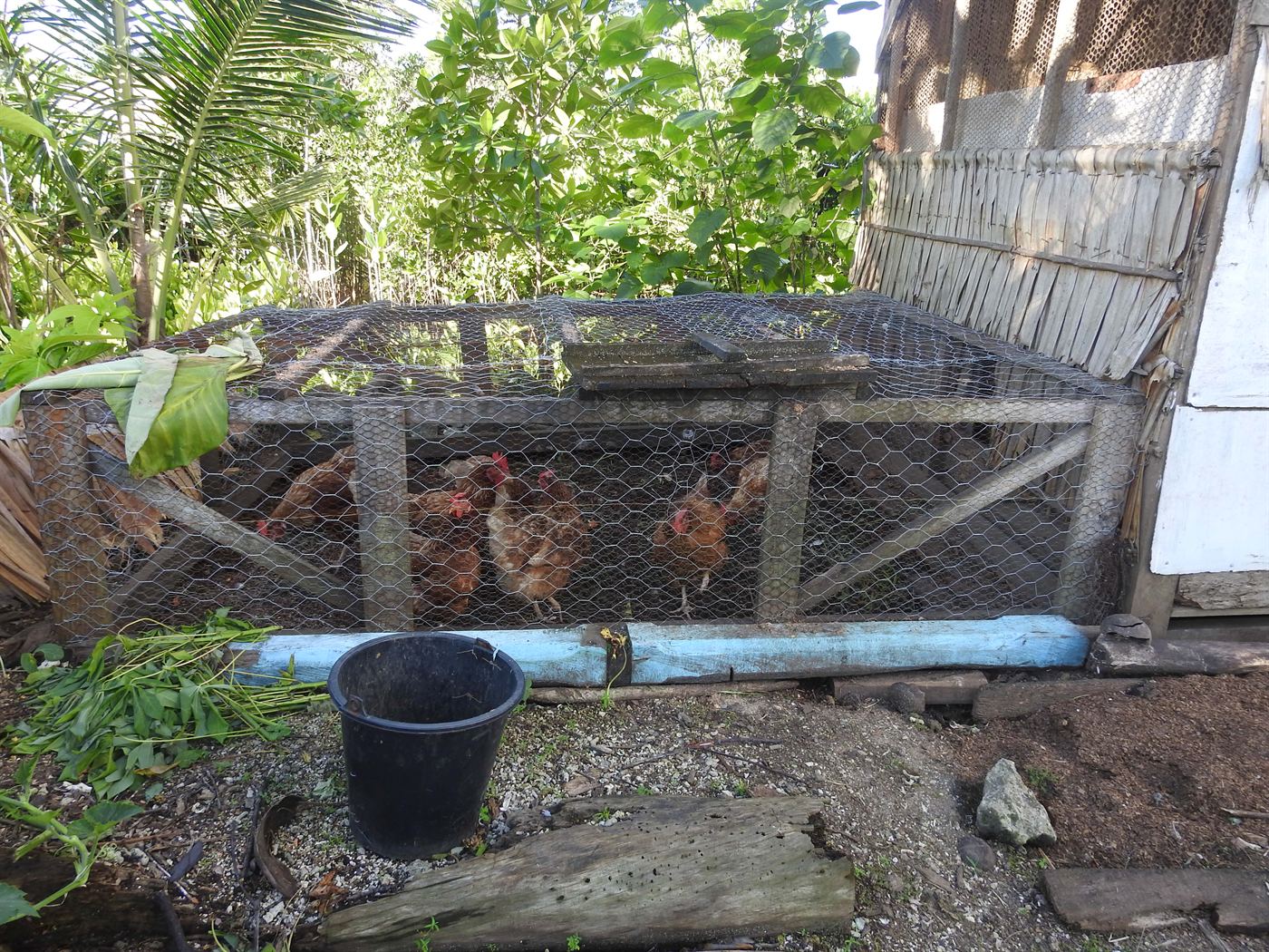 Serah’s Lagoon Hideaway, Solomon Islands (2)