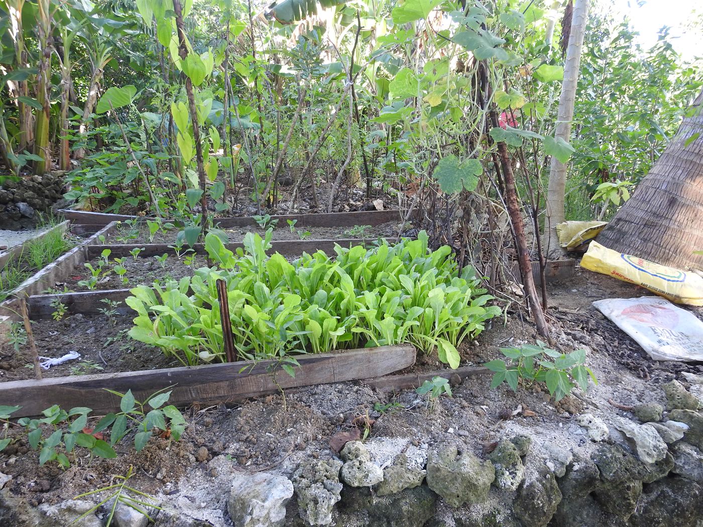 Serah’s Lagoon Hideaway, Solomon Islands (3)