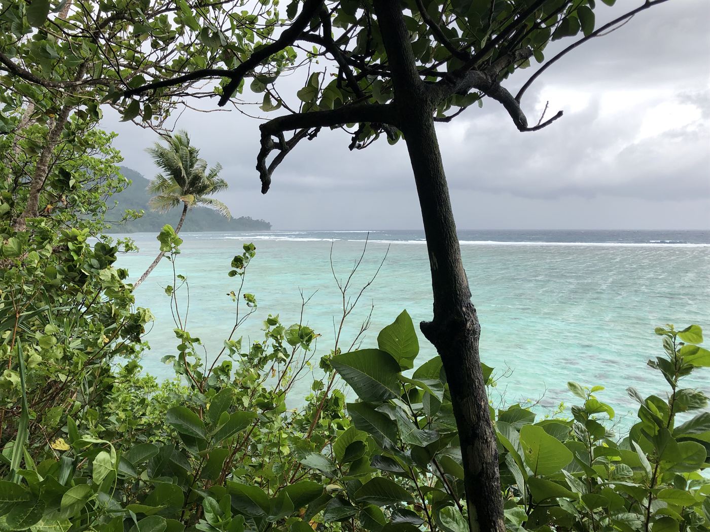 Tetepare Eco Lodge, Solomon Islands (3)