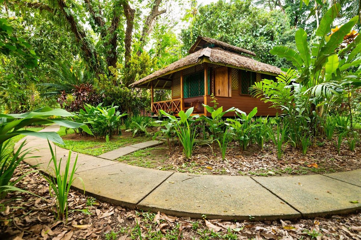 A thatched bungalow among the rainforest gardens at Walindi Plantation Resort